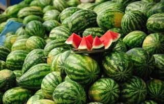 河津网红吃瓜事件真相,揭秘背后真相与争议